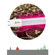 Лампа светодиодная FITO-18W-RB-Т8-G13-NL 18Вт T8 линейная 96LED 2835 IP20 35000ч для растений красн./син. спектр стекло Эра Б0042990