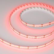 Лента светодиодная CSP-X840-12mm 24V RGBW-Day 17.2Вт/м IP20 (уп.5м) Arlight 046936