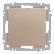 Кнопка Accent 6-109-04 10А-250В IP20 СУ шампань Intro Б0063610