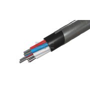 Кабель АКВВБбГ 10х6,0