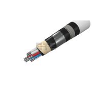 Кабель АКПсВБ 10х2,5